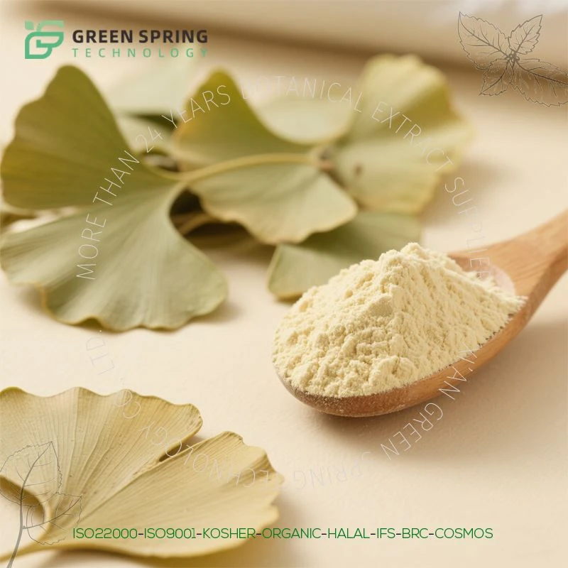 Ginkgo bioba ekstrakt praha