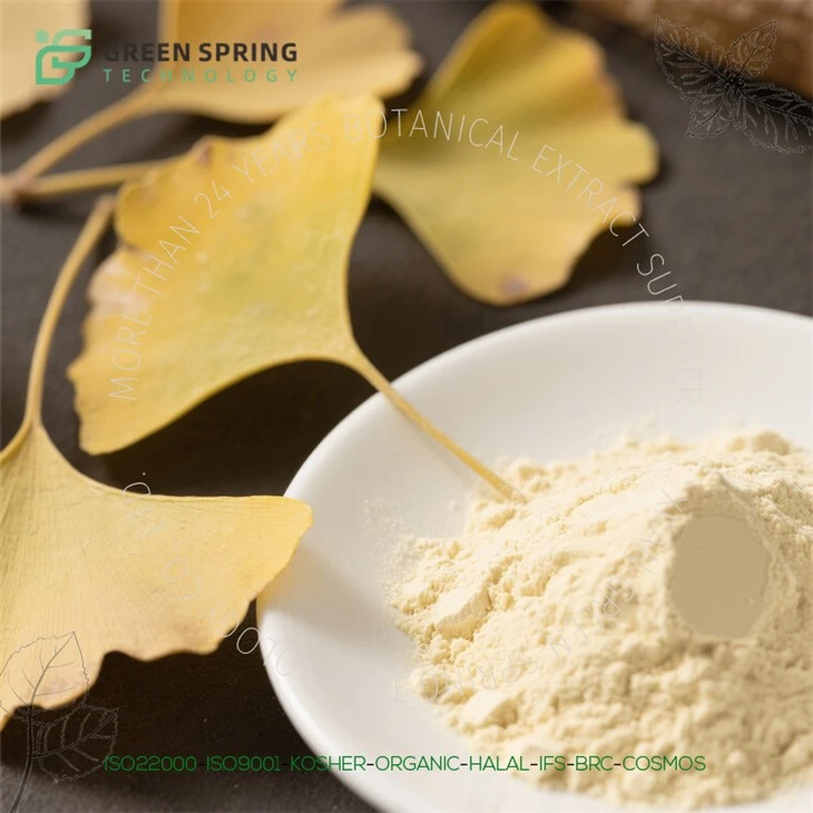 Ginkgo Biloba Extract Powder